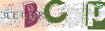 captcha_img