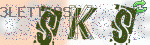 captcha_img
