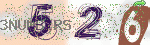 captcha_img
