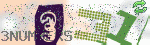 captcha_img