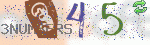 captcha_img