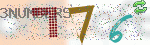 captcha_img