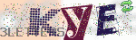 captcha_img