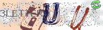 captcha_img