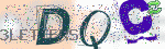 captcha_img