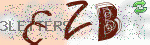 captcha_img