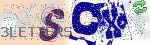 captcha_img