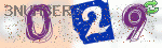 captcha_img