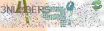 captcha_img