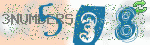 captcha_img