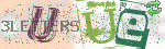 captcha_img