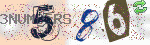 captcha_img