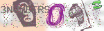 captcha_img