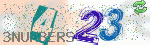 captcha_img