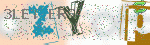 captcha_img