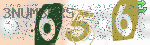 captcha_img