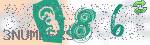 captcha_img