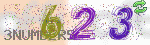 captcha_img