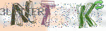 captcha_img