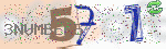 captcha_img