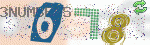 captcha_img
