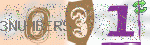 captcha_img