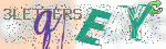 captcha_img