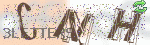 captcha_img