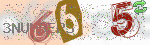 captcha_img