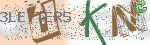 captcha_img