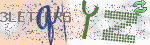 captcha_img