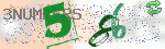 captcha_img
