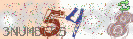 captcha_img