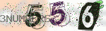 captcha_img