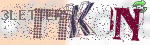 captcha_img