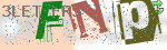 captcha_img