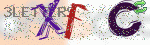 captcha_img