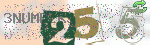 captcha_img