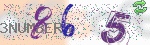 captcha_img