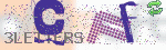 captcha_img