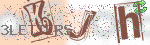 captcha_img