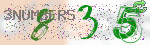 captcha_img