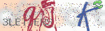 captcha_img