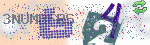 captcha_img