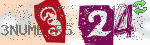 captcha_img