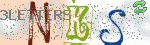 captcha_img