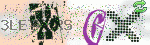captcha_img