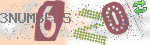 captcha_img