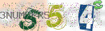 captcha_img
