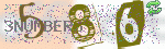 captcha_img